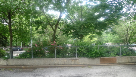 Enlarge photo 2