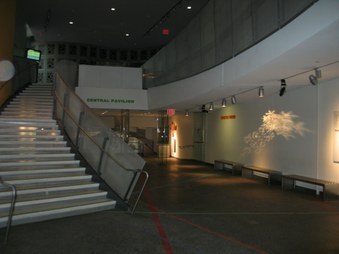 Enlarge photo 32