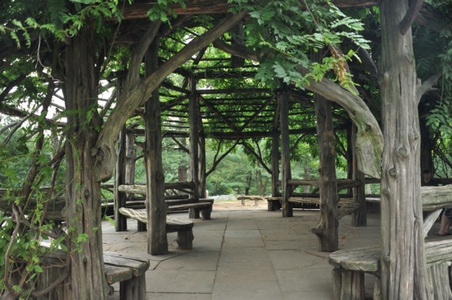 CENTRAL PARK
