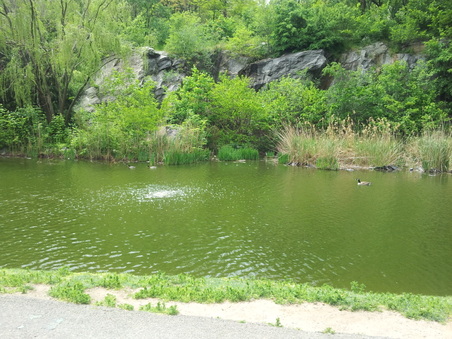 Enlarge photo 4