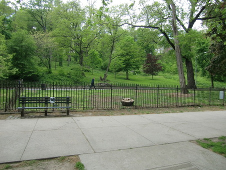 Enlarge photo 22