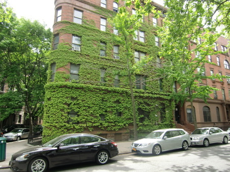 Enlarge photo 28