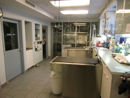 Enlarge photo 21
