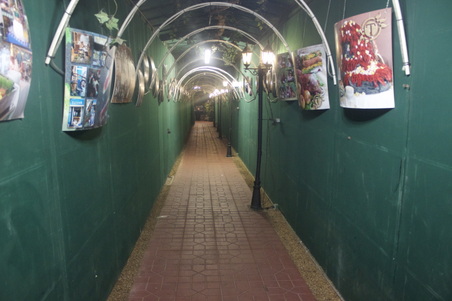 Enlarge photo 30