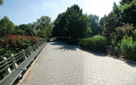 Enlarge photo 15