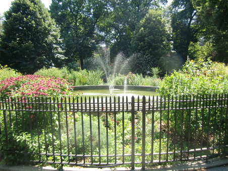 Enlarge photo 25