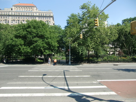 Enlarge photo 31