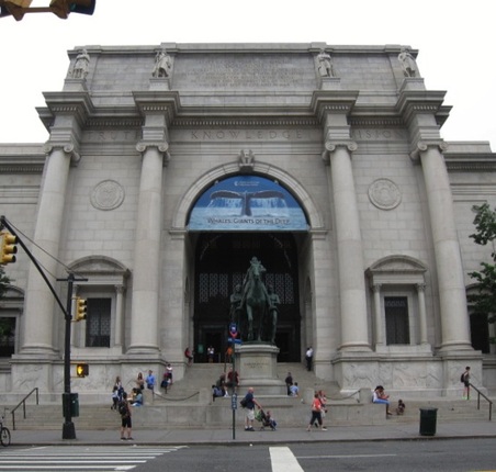 INT. NATURAL HISTORY MUSEUM