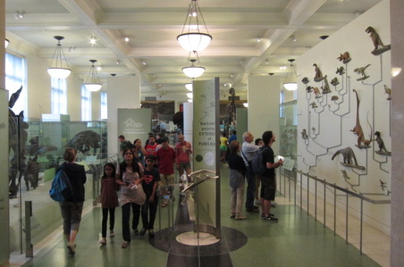 Enlarge photo 25