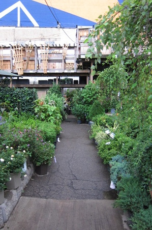Enlarge photo 17