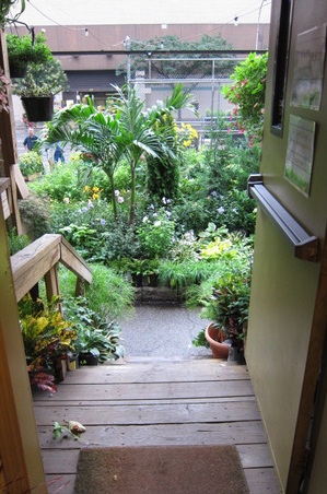 Enlarge photo 19