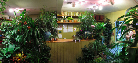 Enlarge photo 22
