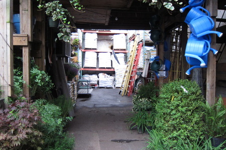 Enlarge photo 24