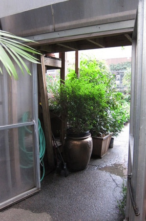 Enlarge photo 28