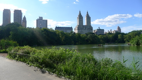Enlarge photo 7