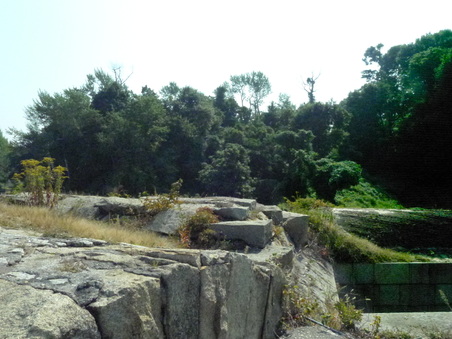Enlarge photo 27