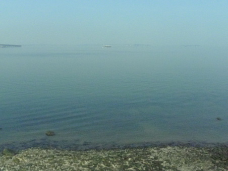Enlarge photo 37