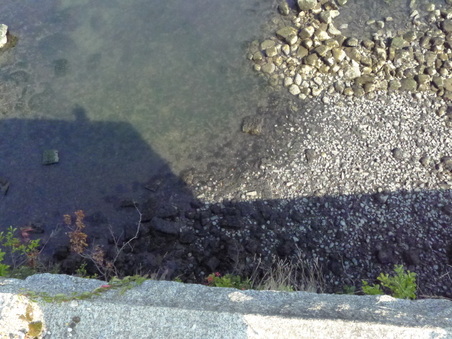 Enlarge photo 38