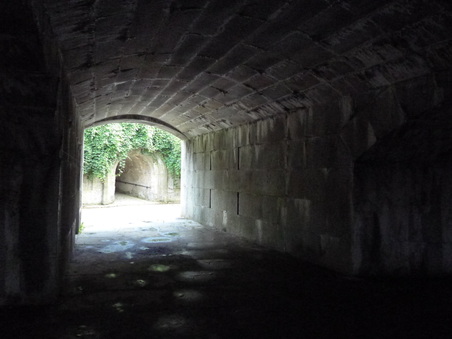 Enlarge photo 72