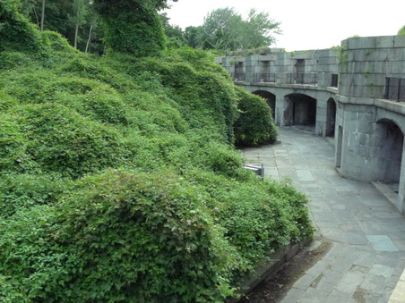 Enlarge photo 91