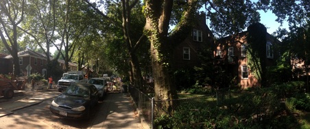 Enlarge photo 2