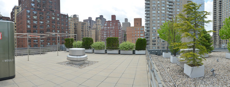 Enlarge photo 63
