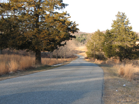 Enlarge photo 14