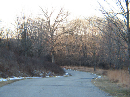 Enlarge photo 23