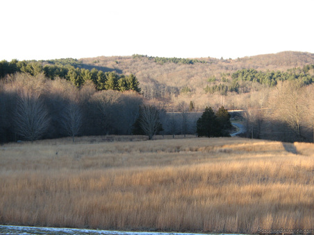 Enlarge photo 4