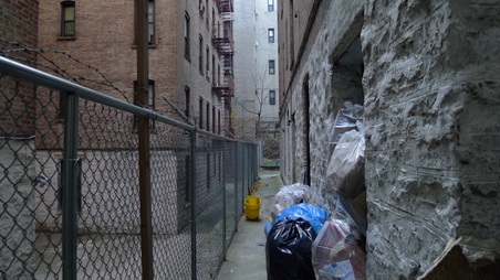 624 207th Street, backyard, alley