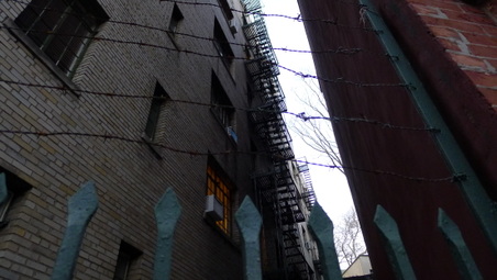 Enlarge photo 6