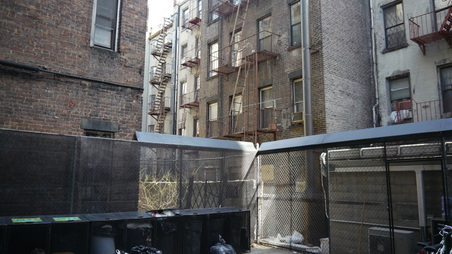 Enlarge photo 17