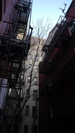 Enlarge photo 4
