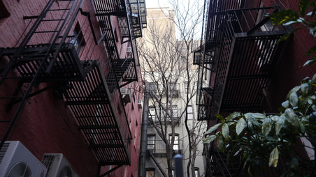 Enlarge photo 5