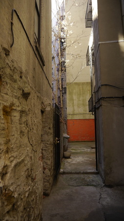 Enlarge photo 23