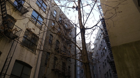 Enlarge photo 25