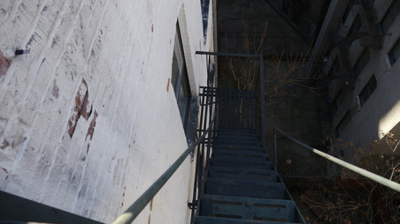 Enlarge photo 37