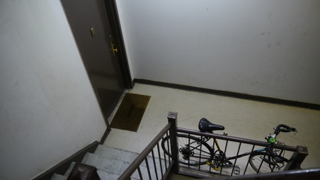 Enlarge photo 41