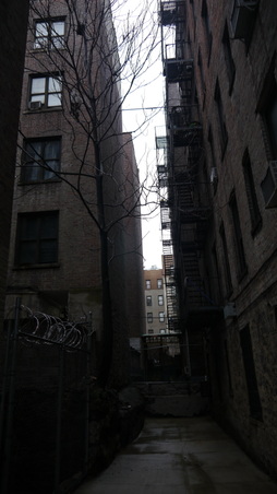 Enlarge photo 8