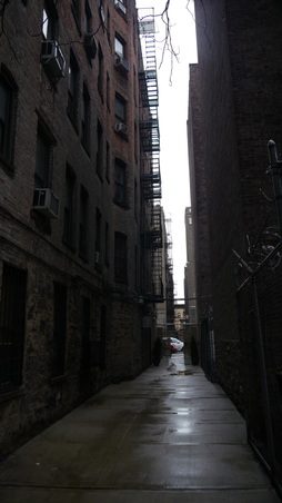 Enlarge photo 10
