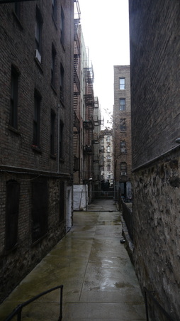 Enlarge photo 5