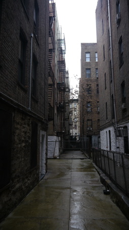 Enlarge photo 7