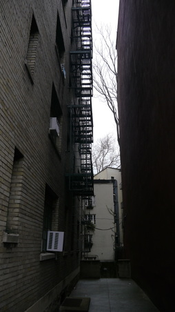 Enlarge photo 5