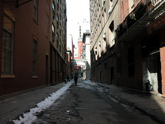 Staple Street - Alley