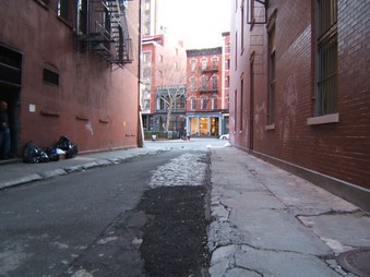 Staple Street Alley (Harrison-Duane)