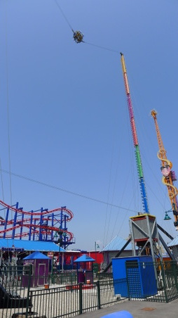 Enlarge photo 39