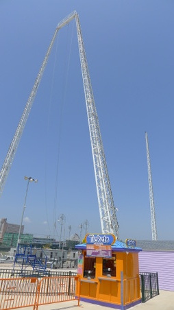 Enlarge photo 53