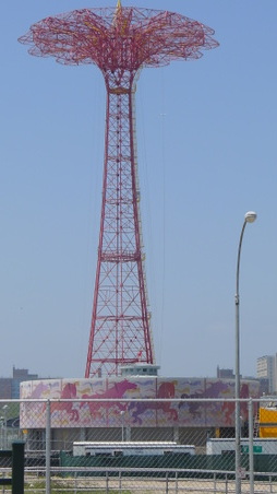 Enlarge photo 55
