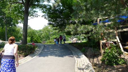 Enlarge photo 52