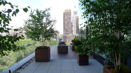 Enlarge photo 37